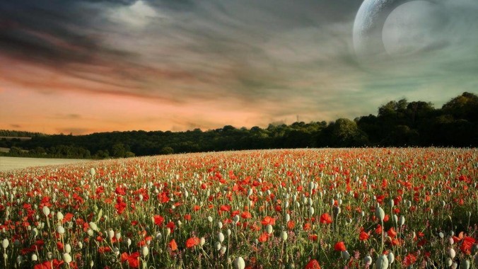 真的有这种又苗条身材又爆炸的么?